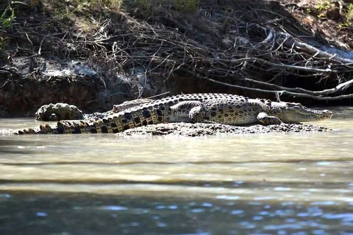 Crododile-cruise-Kakadu-2-day-to (1)