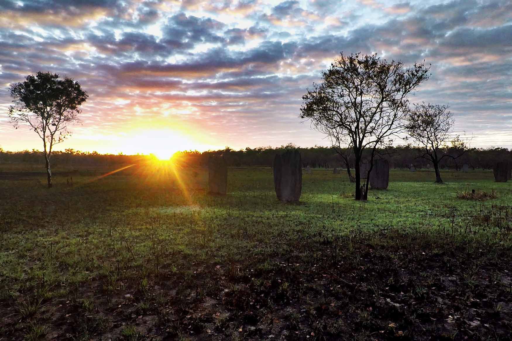 Sunrise near magnetic termite mounds in Litchfield National Park