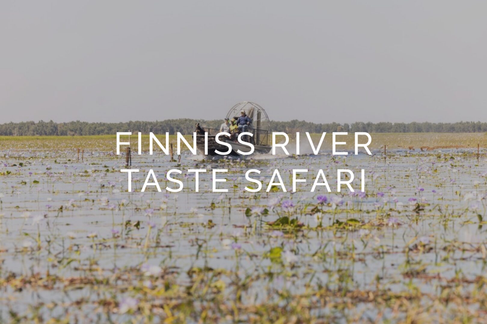 airboat on finniss river