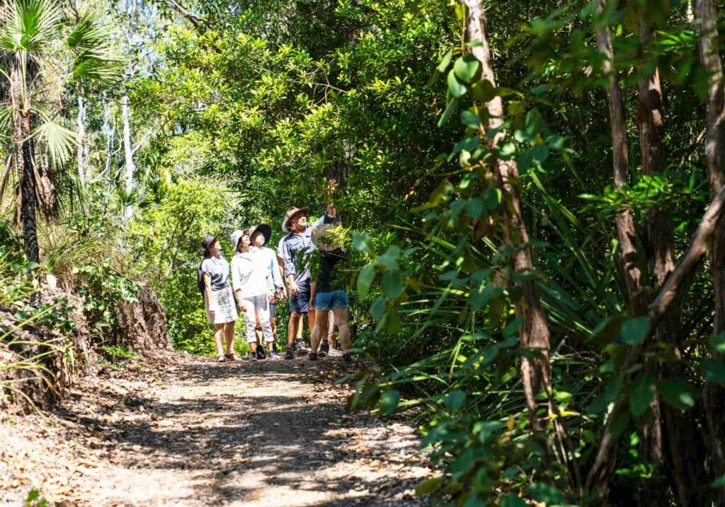 Walking a path during Litchfield Day Tour
