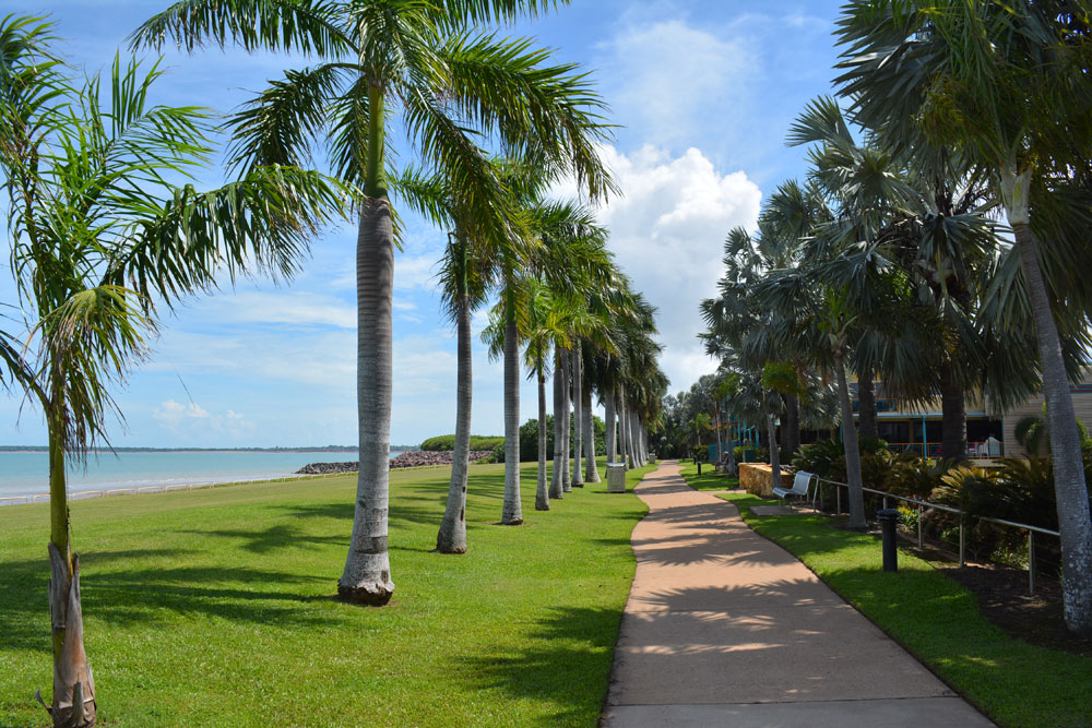 Darwin-By-Locals